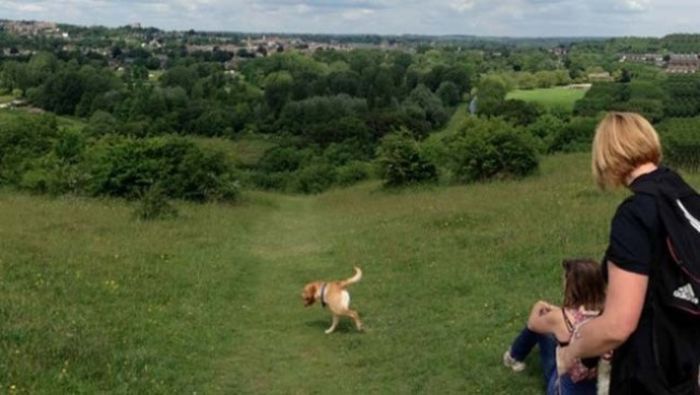 Brutal Panoramic Pictures Fails