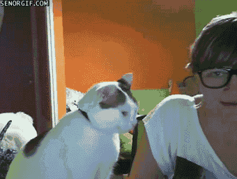 Daily GIFs Mix, part 853