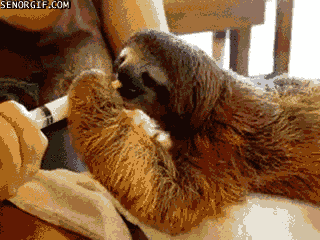Daily GIFs Mix, part 855