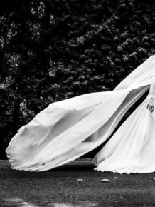 Stunning Wedding Photos That Will Fill You With Joy