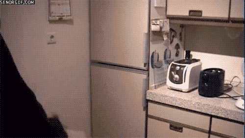 Daily GIFs Mix, part 857