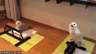 Daily GIFs Mix, part 857
