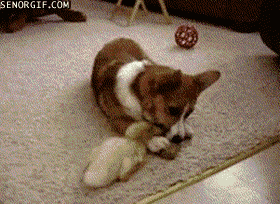 Daily GIFs Mix, part 862