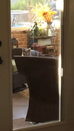 Daily GIFs Mix, part 862
