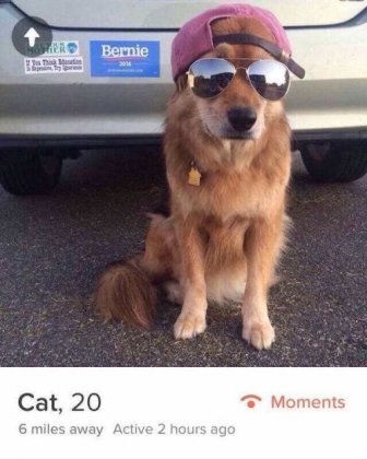 Hilarious Tinder Users Who Have An Awesome Sense Of Humor
