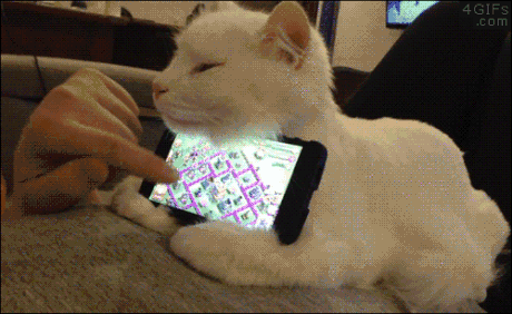 Daily GIFs Mix, part 863
