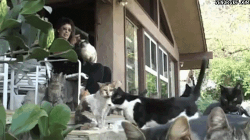 Daily GIFs Mix, part 864