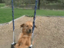 Daily GIFs Mix, part 865