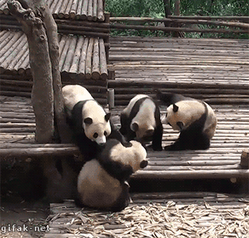 Daily GIFs Mix, part 865