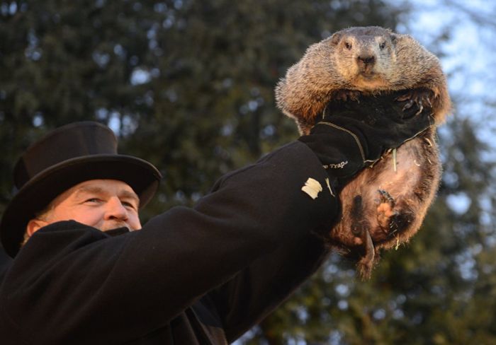 America's Chief Meteorologist Appears On Groundhog's Day