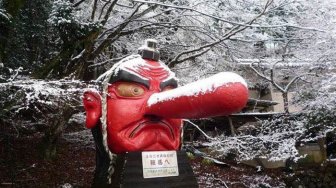 Japanese Tengu Gets Fixed With A Bandaid