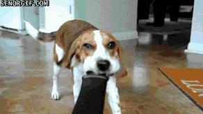 Daily GIFs Mix, part 867