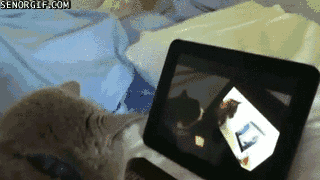 Daily GIFs Mix, part 867