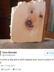 The Funniest Tweets You're Going To See This Week