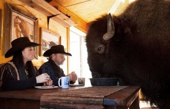 This Texas Couple Has A Bison In Their House