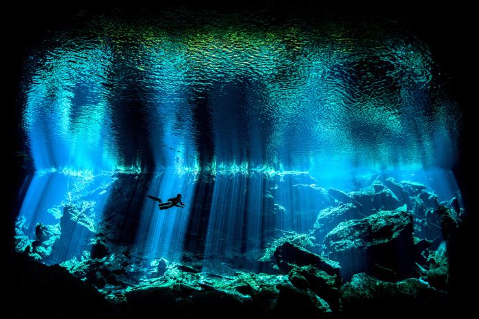 Stunning Underwater Photographs That Will Take Your Breath Away