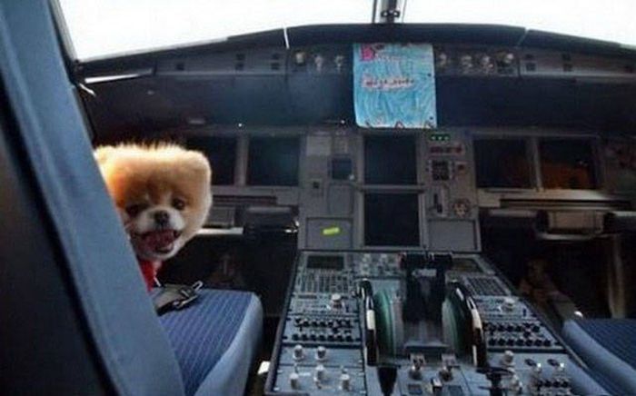 Airplane Pictures That Will Send Your Boredom Flying