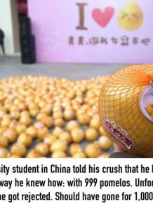 Guy Gets Rejected After Declaring His Love With 999 Pomelos