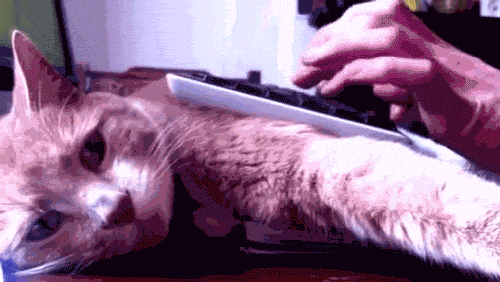 Daily GIFs Mix, part 874