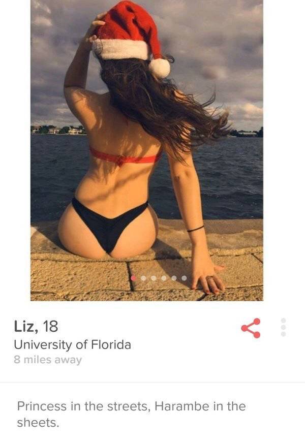 What You Can Expect To Find If You Look For Love On Tinder