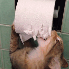 Daily GIFs Mix, part 876