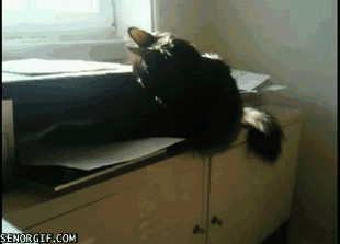 Daily GIFs Mix, part 876