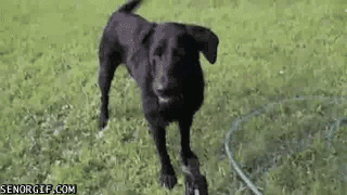 Daily GIFs Mix, part 880