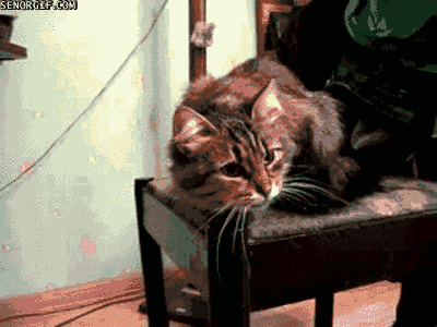 Daily GIFs Mix, part 882