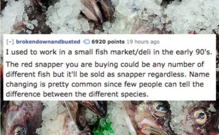 People Reveal Insider Secrets About The Industries They've Worked In
