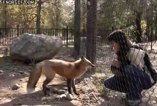 Daily GIFs Mix, part 883
