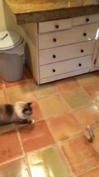 Daily GIFs Mix, part 883