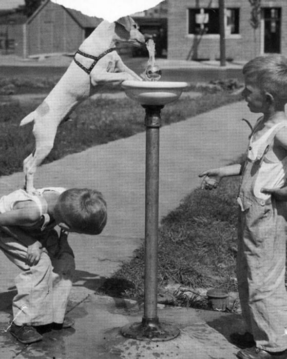 Kids Used To Have Real Fun Before Smartphones