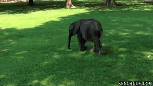 Daily GIFs Mix, part 887