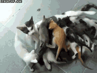 Daily GIFs Mix, part 887