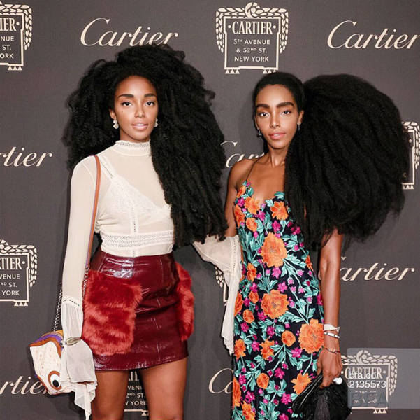 Instagram Queens Show Off Their Incredible Natural Hair