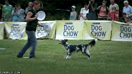 Daily GIFs Mix, part 888