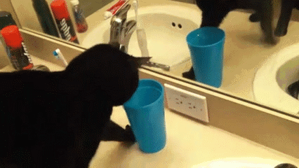 Daily GIFs Mix, part 889