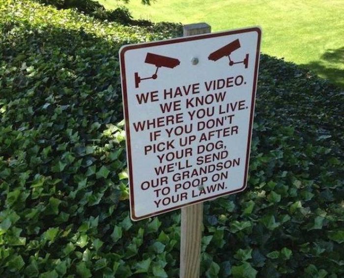 Awesome Signs That Instantly Improved The Neighborhood
