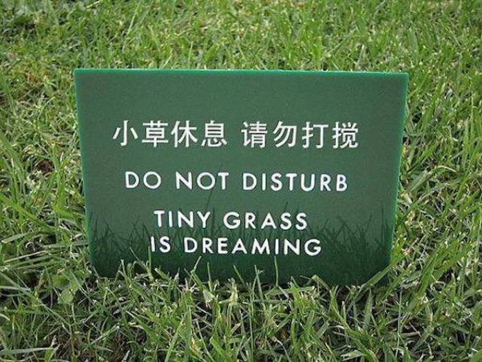Awesome Signs That Instantly Improved The Neighborhood