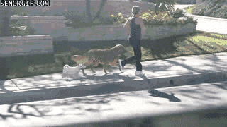 Daily GIFs Mix, part 890