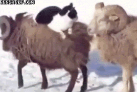 Daily GIFs Mix, part 891