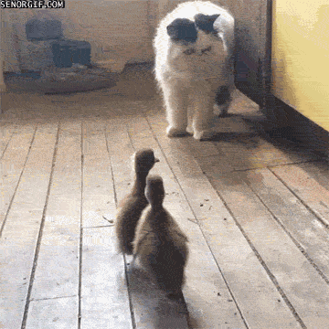 Daily GIFs Mix, part 892