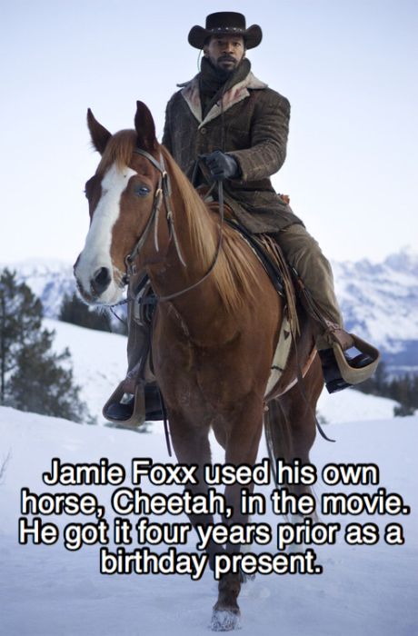 Amusing Facts About Django Unchained