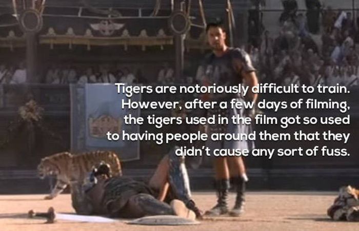 Facts About The Movie Gladiator You Need To Know