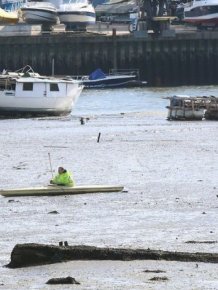 Kayaker Gets Trapped In Southhampton