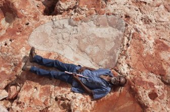 World’s Largest Dinosaur Footprint Uncovered In Australia