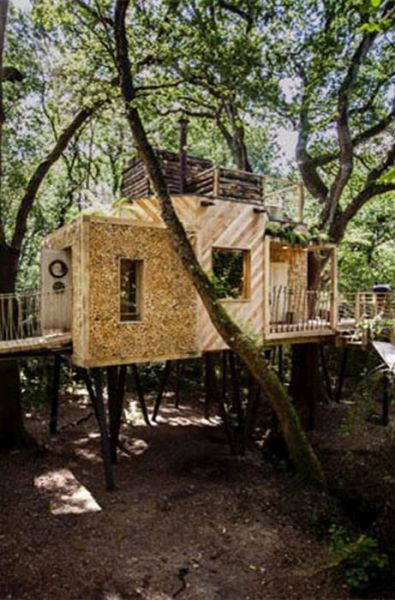 Live Out Your Fantasies In This Luxury Treehouse In Dorset