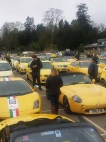 A Parade Of Yellow Cars