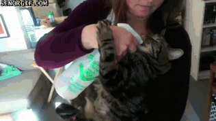Daily GIFs Mix, part 895