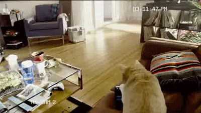 Daily GIFs Mix, part 896